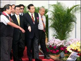 Тайвань сделал ставку на орхидеи