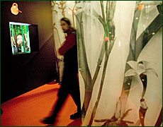 Выставка орхидей открывает секреты привлекательности