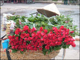 В Ханое развивается цветочный бизнес