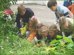 Садоводство — любимый предмет школьников США