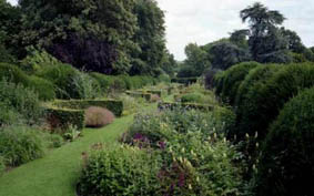 В Англии зацвел африканский сад
