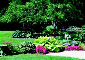 Названы лучшие сады Орланд-Парка