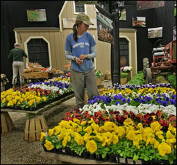 В Бостоне готовят новые выставки цветов