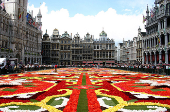 Брюссельский цветочный ковер будет доступен для всех желающих