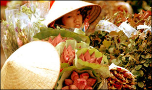Целая цветочная страна раскинулась на вьетнамских базарах
