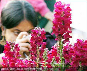 Индусы встречают праздник цветов