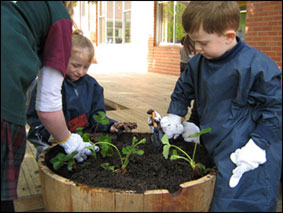 Австралийские школьники занялись садоводством