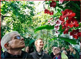 В Нью-Йорке весну встречают орхидеями