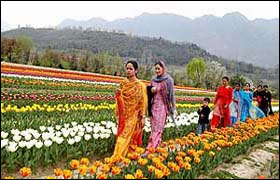 Апрель в Индии пройдет под знаком цветущих тюльпанов