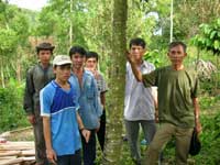 Дерево Аквилария кормит фермеров Вьетнама